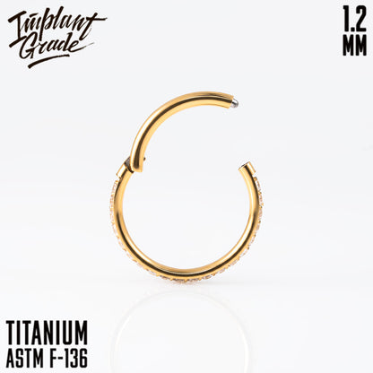 Twilight Hinged Segment Ring 1.2 (16 G)