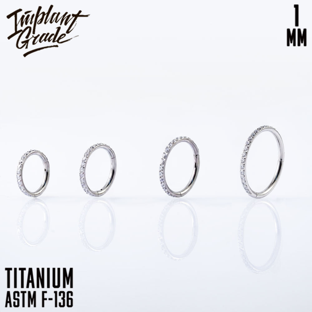Twilight Hinged Segment Ring 1 (18 G)