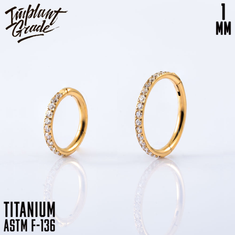 Twilight Hinged Segment Ring 1 (18 G)