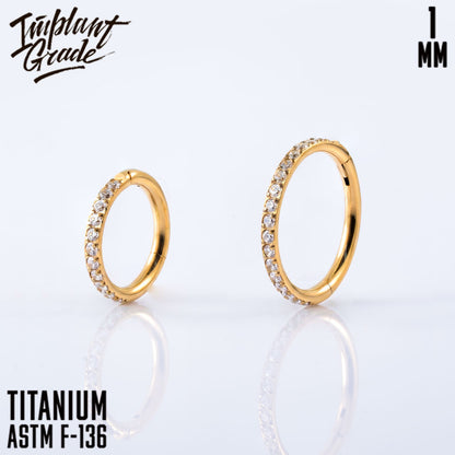 Twilight Hinged Segment Ring 1 (18 G)