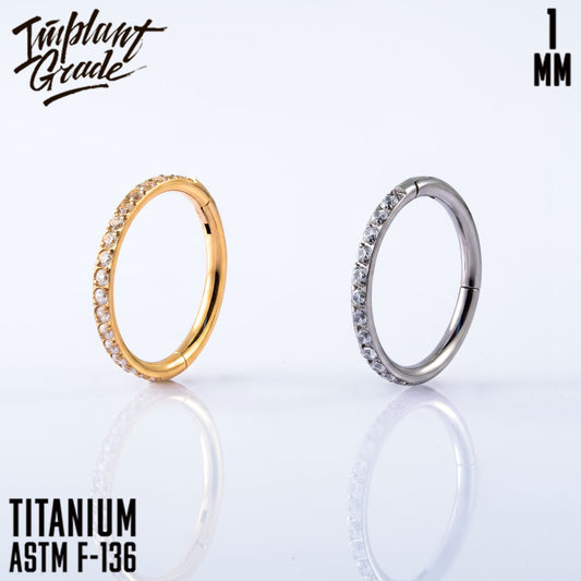 Twilight Hinged Segment Ring 1 (18 G)