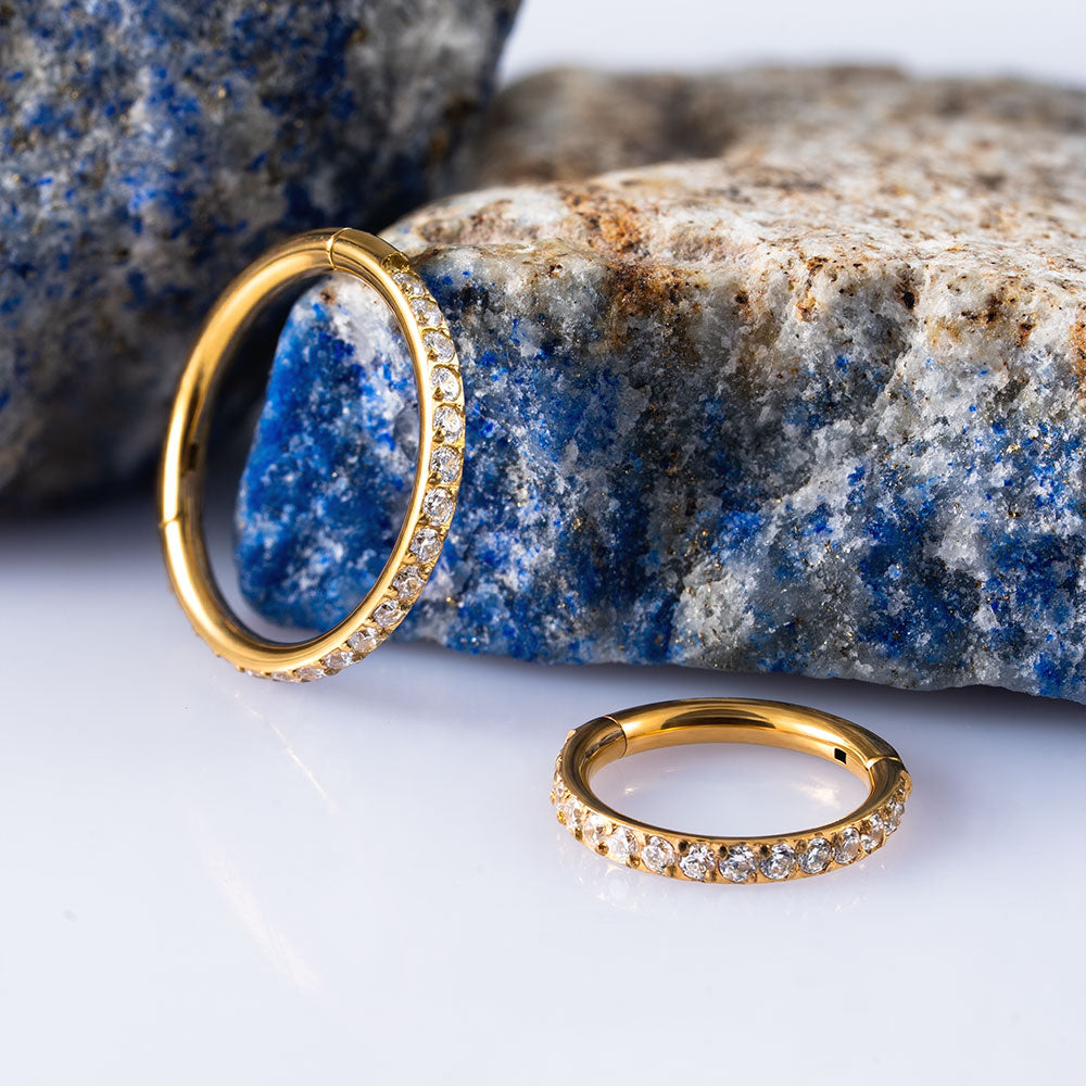 Twilight Hinged Segment Ring 1 (18 G)