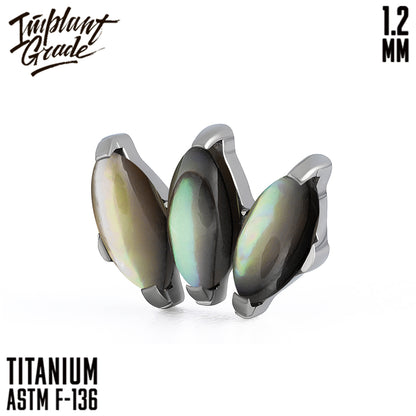 Marquise vol.2 Abalone Shell Cluster 1.2