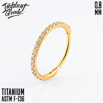 Insight Hinged Segment Ring 0.8 (20 G)