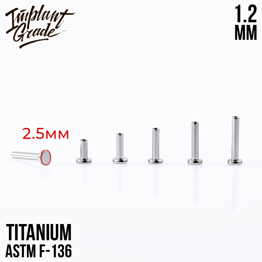 Labret post MINI 1.2 (16 G) base 2.5 mm