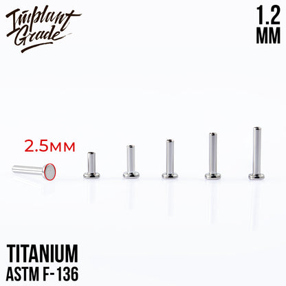 Labret post MINI 1.2 (16 G) base 2.5 mm