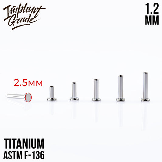 Labret post MINI 1.2 (16 G) base 2.5 mm