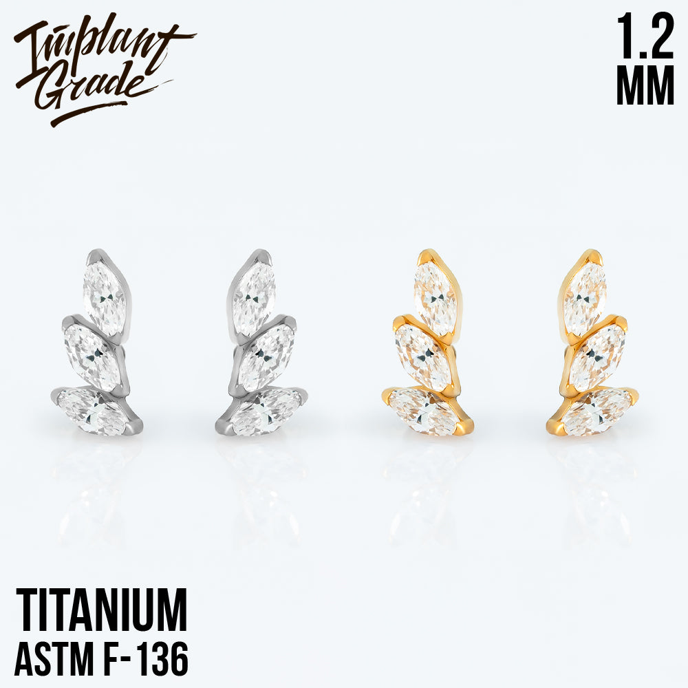 Plume mini Cluster 1.2