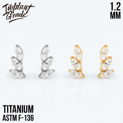 Plume mini Cluster 1.2