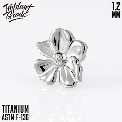 Bauhinia top 1.2