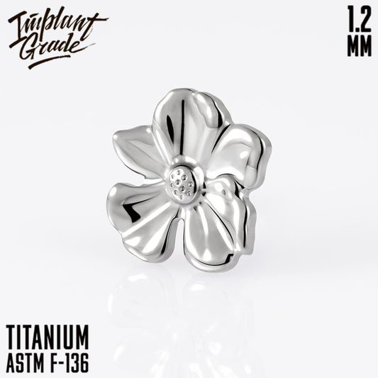 Bauhinia top 1.2