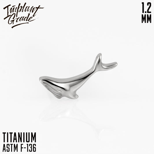 Whale top 1.2
