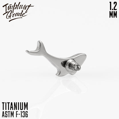 Whale top 1.2