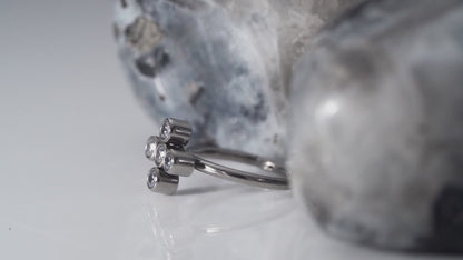 Quinta Hinged Segment Ring 1 (18 G)