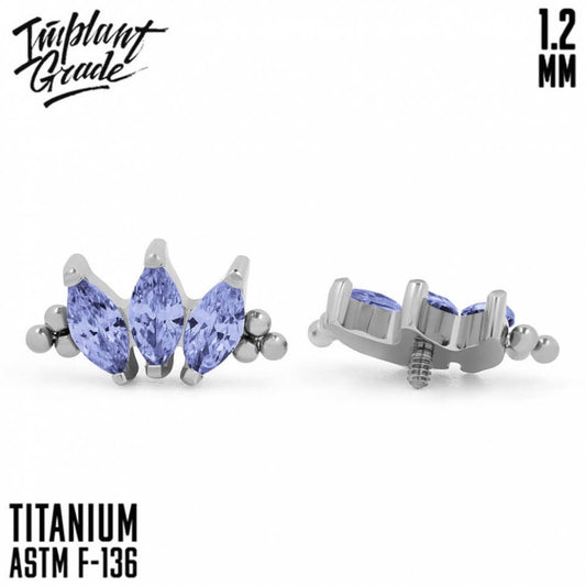 Marquise vol. 2 Bead Tanzanite Cluster 1.2