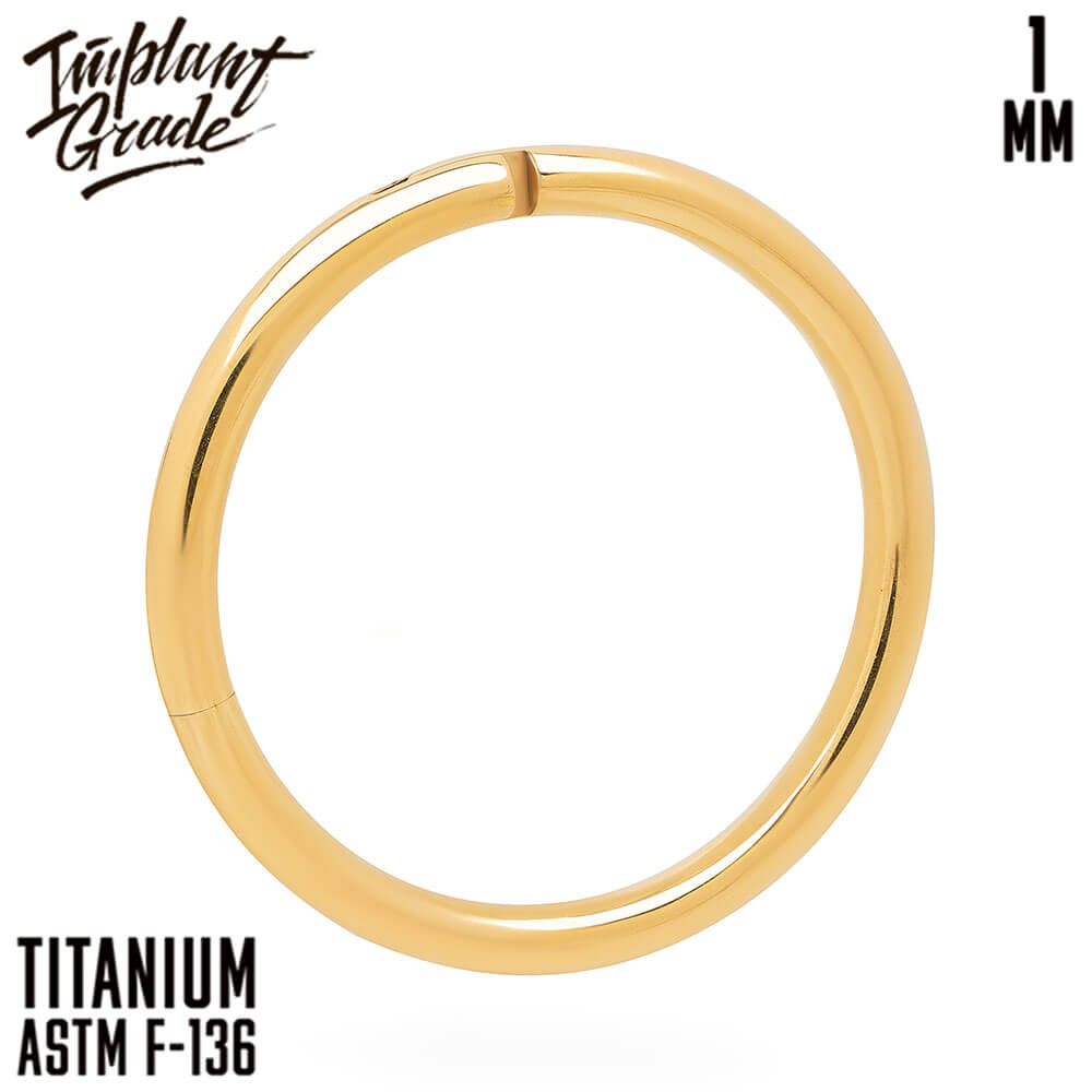 Gold Hinged Segment Ring 1 (18 G)