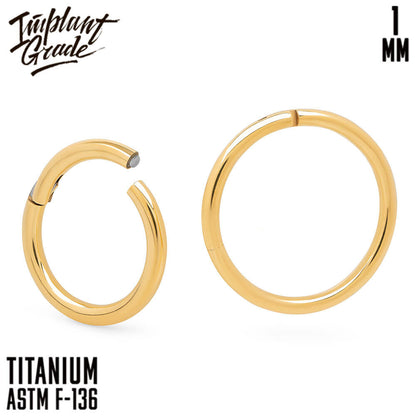 Gold Hinged Segment Ring 1 (18 G)