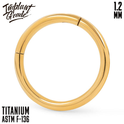 Gold Hinged Segment Ring 1.2 (16 G)