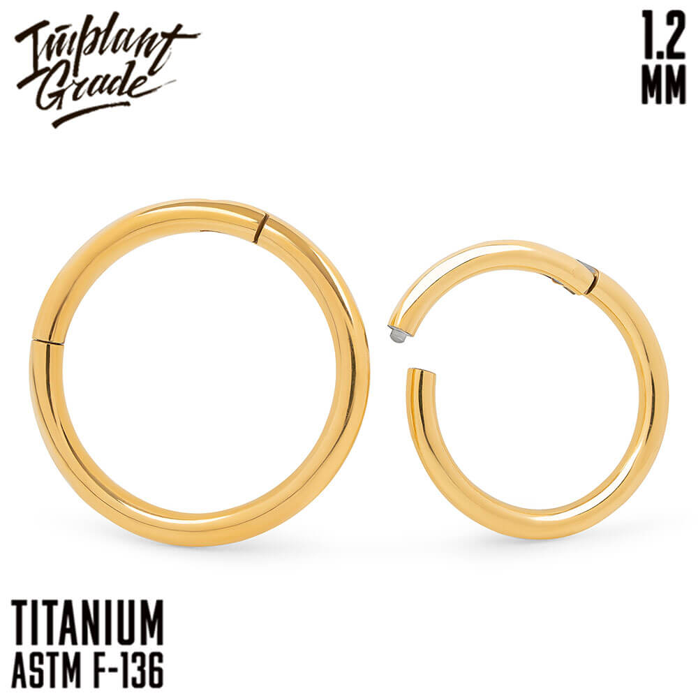 Gold Hinged Segment Ring 1.2 (16 G)