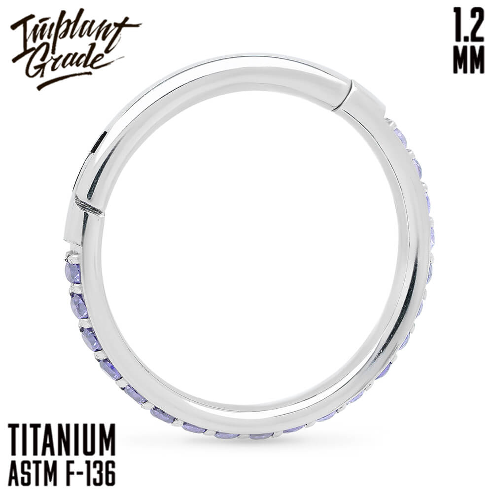 Twilight Amethyst Hinged Segment Ring 1.2 (16 G)