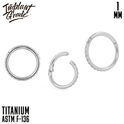 Twilight Hinged Segment Ring 1 (18 G)