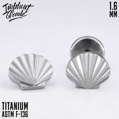 Shell top 1.6